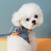 Pet Vest Harness in Macaron Colors - Carriers & Harnesses - Higooga